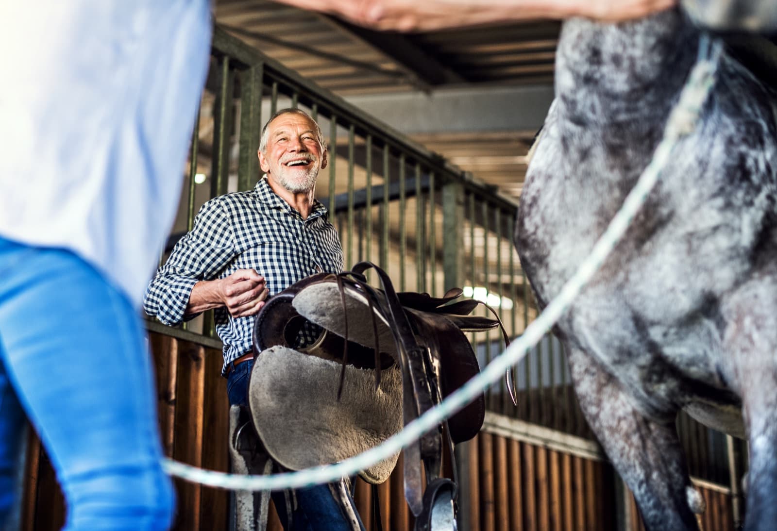 A certified farrier trimming a horse's hoof