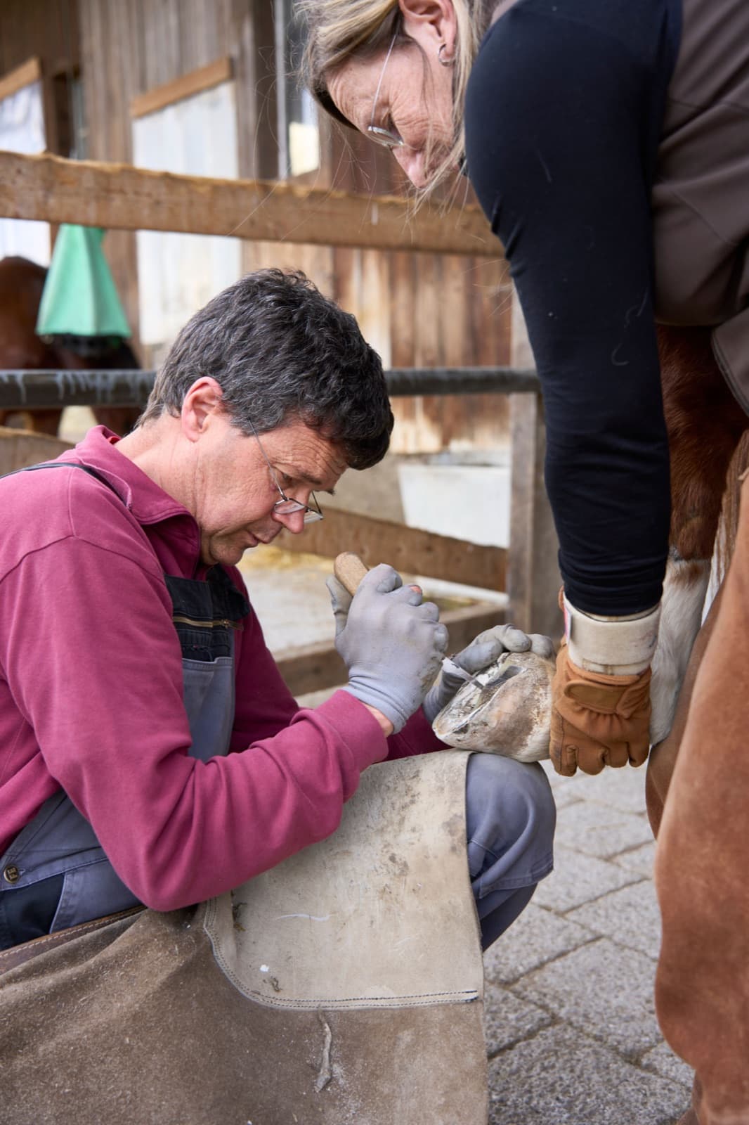 A farrier working on a horse's hoof with an assistant